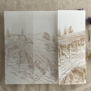 CUSTOM ORDER : Hazelnut vineyard landscape sketch printed vellum wrap for 6x8 card | pack of 40 Invitation Jackets and Overlays