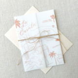 La Quinta Vellum Jackets | Set of 10 Invitation Jackets and Overlays