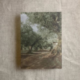 Olive tree grove printed vellum overlay for 5x7 card | pack of 10 Invitation Jackets and Overlays