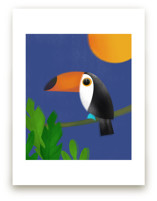 Toco Toucan by Farinaz Vaseghi