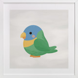 Tropical Birds Lorikeet
