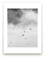 Soaring Trio 1 by Three Wings North