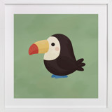 Tropical Birds Toucan