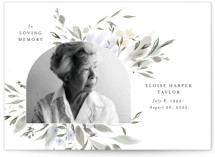 Graceful Memory by Nicoletta Savod