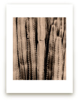 Textural II by Paola Benenati