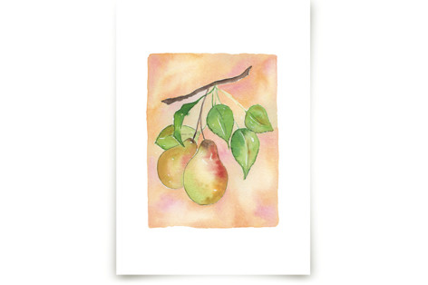 Pears Fine Art Prints