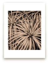 Textural I by Paola Benenati