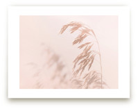 August Days by Karen Kaul