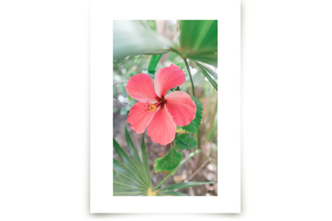 Yucatan VIII Fine Art Prints