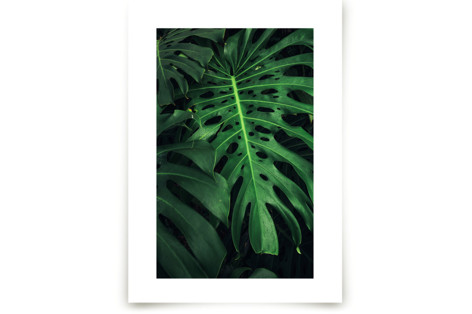 shaded 2 Fine Art Prints