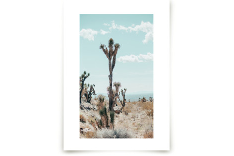 Dean Fine Art Prints