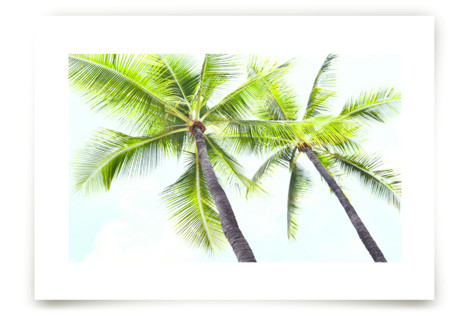 Dance Partners Fine Art Prints