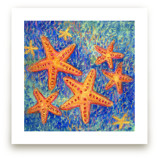 Stars of the Sea by Amelia Gluba