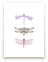 Watercolor Dragonflies by Lauren Rogoff
