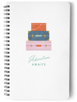 The Many Travels Journal