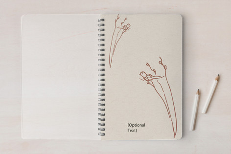 First Robin Notebook