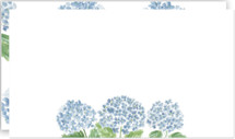 Hydrangea Love