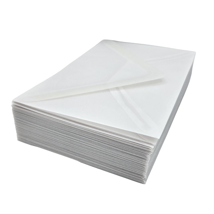 A7 Translucent Vellum Envelopes Envelopes by Caroline Russo Minted