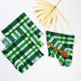 Josefina Plaid Handwoven Cotton Party Napkins, Set of 4 Napkins