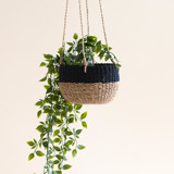 Natural + Black Round Hanging Planter Planters