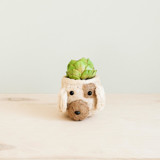 Mini Pot Dog Planter Planters