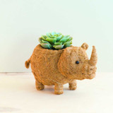Rhino Planter Planters