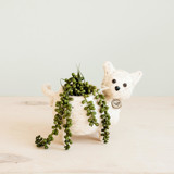 Baby Cat Planter Planters