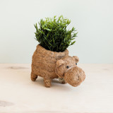 Hippo Planter Planters