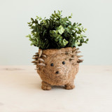Hedgehog Planter Planters