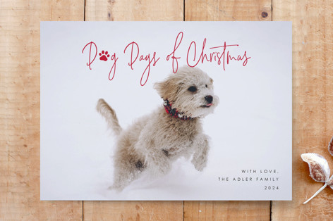 Dog Days of Christmas Custom Stationery