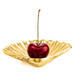 Shell Dish Serving Accessories