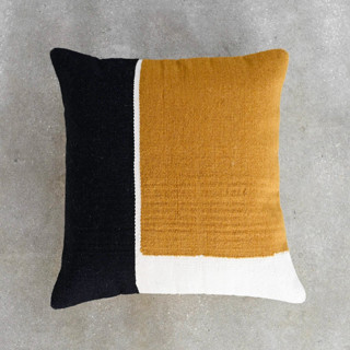 Elevate Pillow Throw Pillows