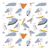 Seagulls & pelicans