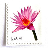 Water Lily Postage Stamps | Beautiful Blooms Series | Pink Flowers | Vintage Unused USPS Postage 41c | Pack of 10 Postage Stamps