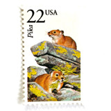 Pika Postage Stamps | North American Wildlife Series | Vintage Unused USPS Postage 22c | Pack of 20 Postage Stamps