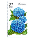 Hydrangea Postage Stamps | Fall Garden Flowers | Garden Flowers Series | Botanical | Wedding Stamps | Vintage Unused USPS Postage 32c | Pack of 10 Postage Stamps