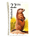 Woodchuck Postage Stamps | North American Wildlife Series | Vintage Unused USPS Postage 22c | Pack of 20 Postage Stamps