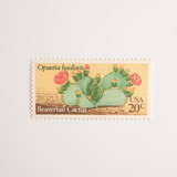 20 Cent Beavertail Cactus Postage Stamps // Set of 10 // UNUSED Vintage Stamps Postage Stamps