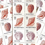 Seashells Set of 5 Postage Stamps | Vintage Unused USPS Postage | 22c/stamp | $1.10/set of 5 | Pack of 5 Sets (25 Stamps Total) Postage Stamps