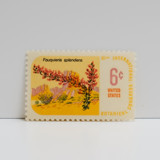 Vintage Unused Stamps - Ocotillo,  Botanical Collection, 6 cent - Set of 5 Postage Stamps