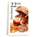 Deer Mouse Postage Stamps | North American Wildlife Series | Vintage Unused USPS Postage 22c | Pack of 20 Postage Stamps