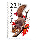 Gray Squirrel Postage Stamps | North American Wildlife Series | Vintage Unused USPS Postage 22c | Pack of 10 Postage Stamps