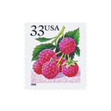 33 Cent Raspberry Postage Stamps // Set of 10 // UNUSED Vintage Stamps Postage Stamps