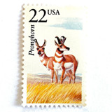 Pronghorn Postage Stamps | North American Wildlife Series | Vintage Unused USPS Postage 22c | Pack of 20 Postage Stamps