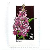 Fireweed Postage Stamps | American Wildflower Series | Pink Purple Flower | Botanical | Vintage Unused USPS Postage 29c | Pack of 10 Postage Stamps