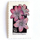 Round-Lobed Hepatica Postage Stamps | American Wildflower Series | Purple Flower | Botanical | Vintage Unused USPS Postage 29c | Pack of 10 Postage Stamps