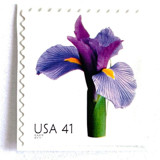 Iris Postage Stamps | Beautiful Blooms Series | Purple Flowers | Botanical | Wedding Stamps | Vintage Unused USPS Postage 41c | Pack of 10 Postage Stamps