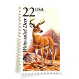 White-Tailed Deer Stamps | North American Wildlife Series | Vintage Unused USPS Postage 22c | Pack of 10 Postage Stamps