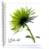 Chrysanthemum Postage Stamps | Beautiful Blooms Series | Green Flowers | Botanical | Wedding Stamps | Vintage Unused USPS Postage 41c | Pack of 10 Postage Stamps
