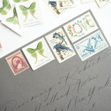 The Naturalist's Garden Postage Set // Set of 5 // $1.79 in postage per set Postage Stamps
